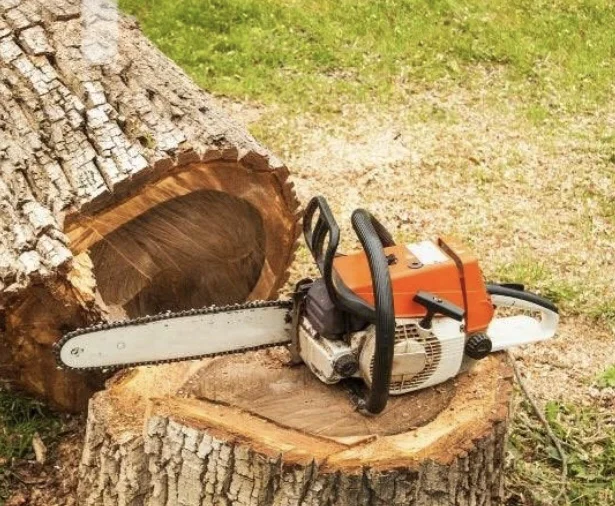 Professional tree felling cutting in Johannesburg and tree cutting near Sandton. Tree pruning Randburg for dangerous trees around Krugersdorp. Cut down trees in Roodepoort